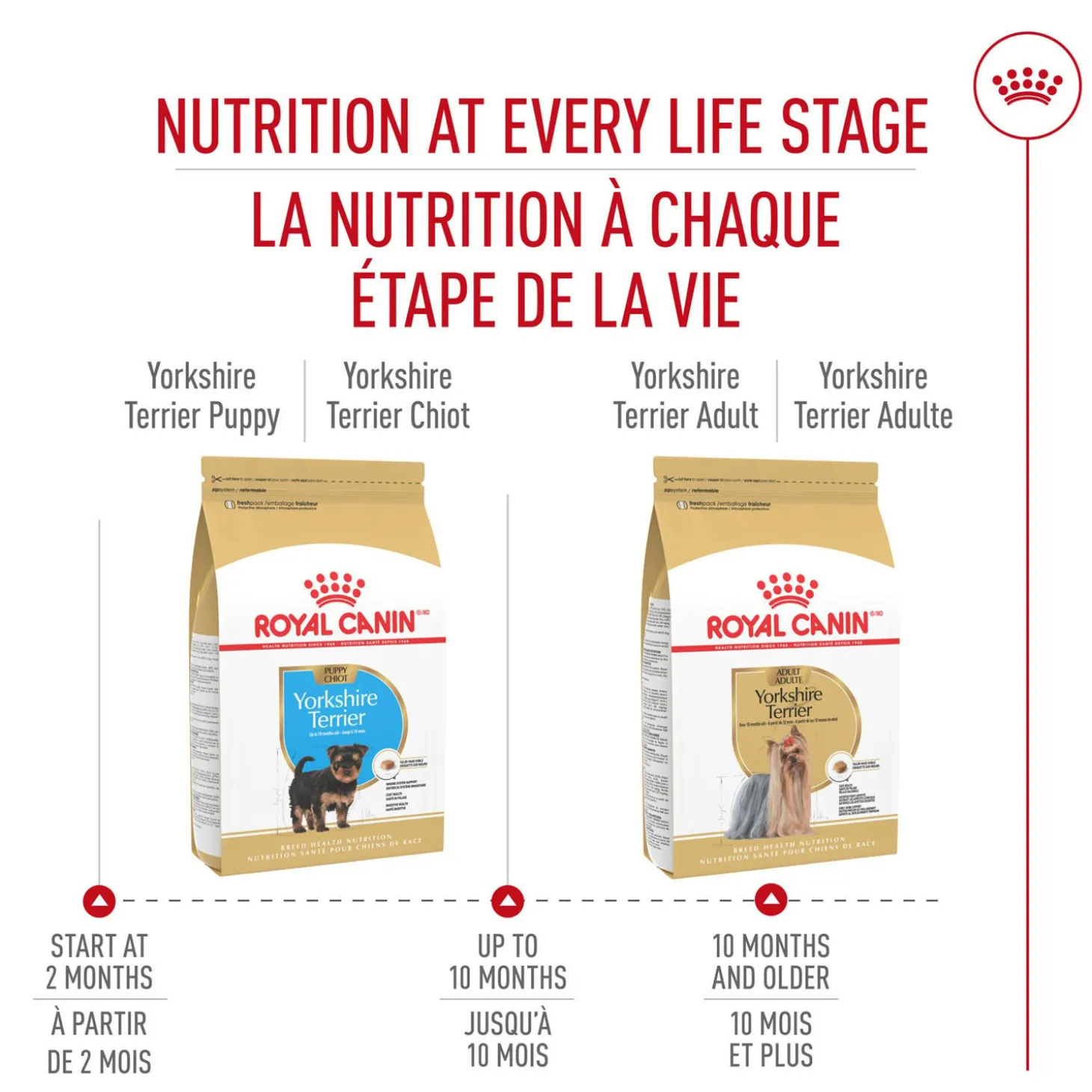 Breed Health Nutrition® Yorkshire Terrier Puppy Dry Puppy Food