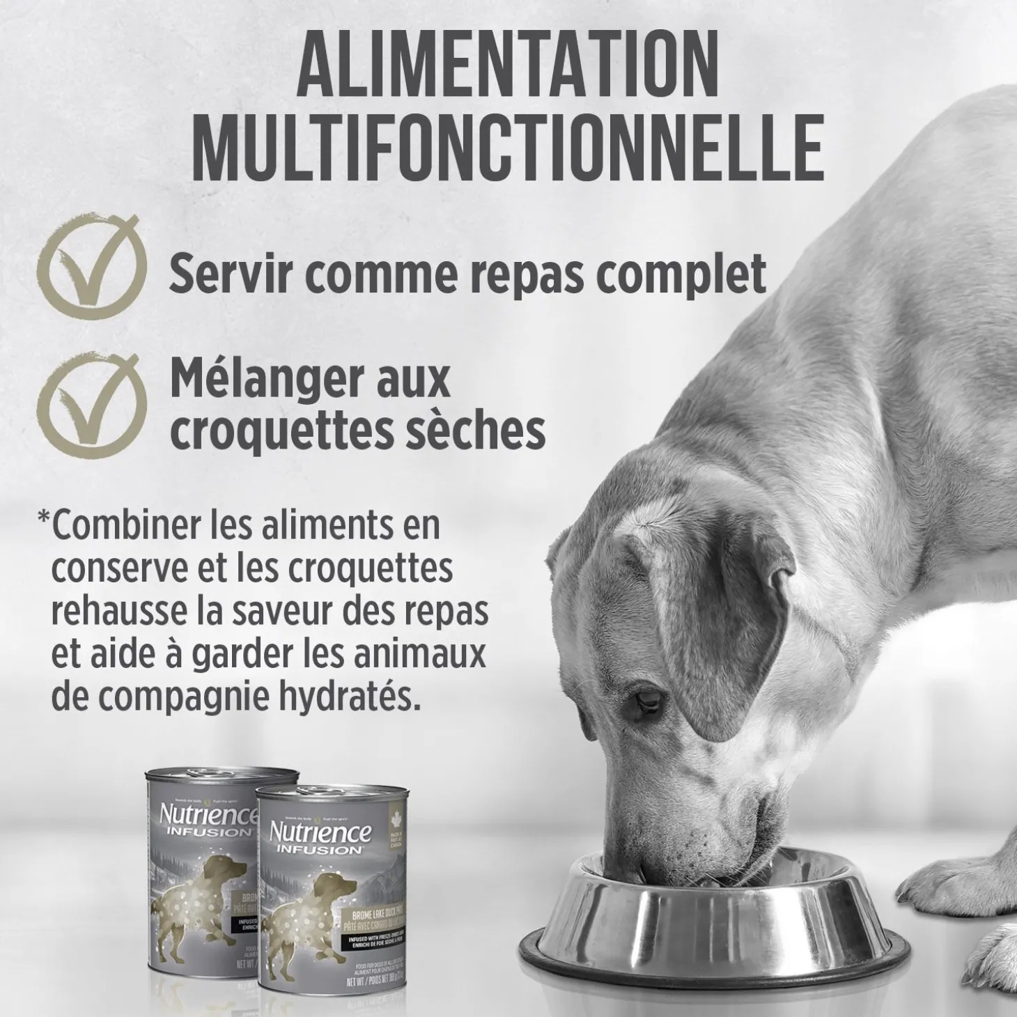 Brome Lake Duck Pâté for Dogs, 369 g