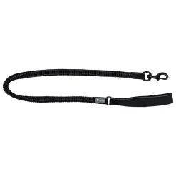 Bungee Dog Leash