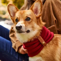 Cabernet Neck Warmer and Blanket