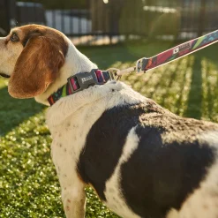 Calypso Silicone Leash for Dogs