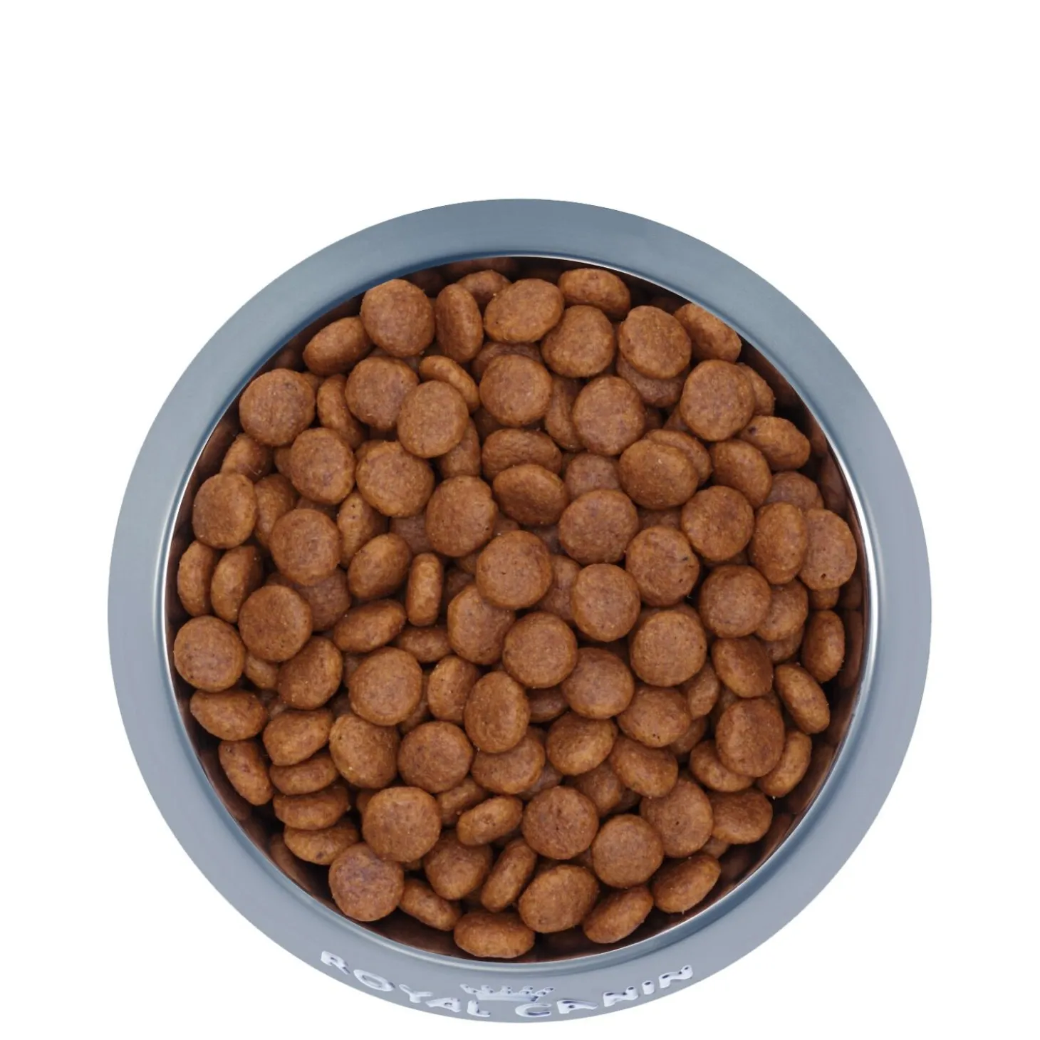 Canine Care Nutrition™ Medium Digestive Care Dry Dog Food