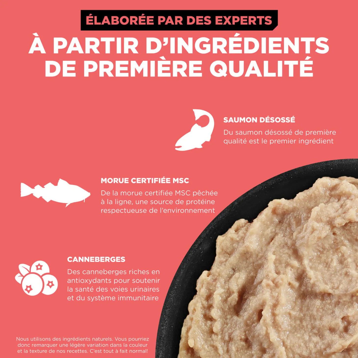 Carnivore Salmon and Cod Pâté for Cats, 182 g