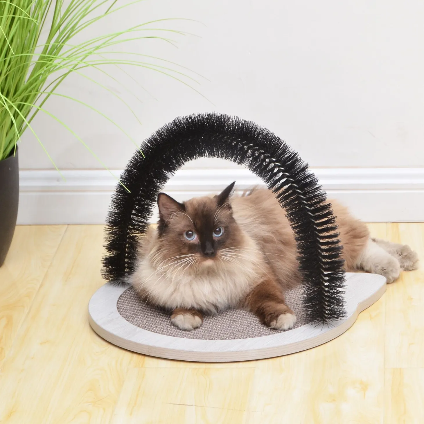 Cat Arch Scratching Pad