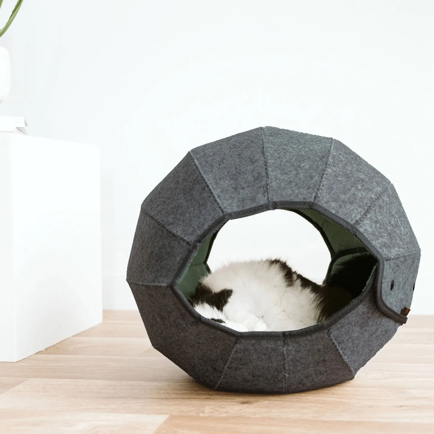 Cat Felt Sphere