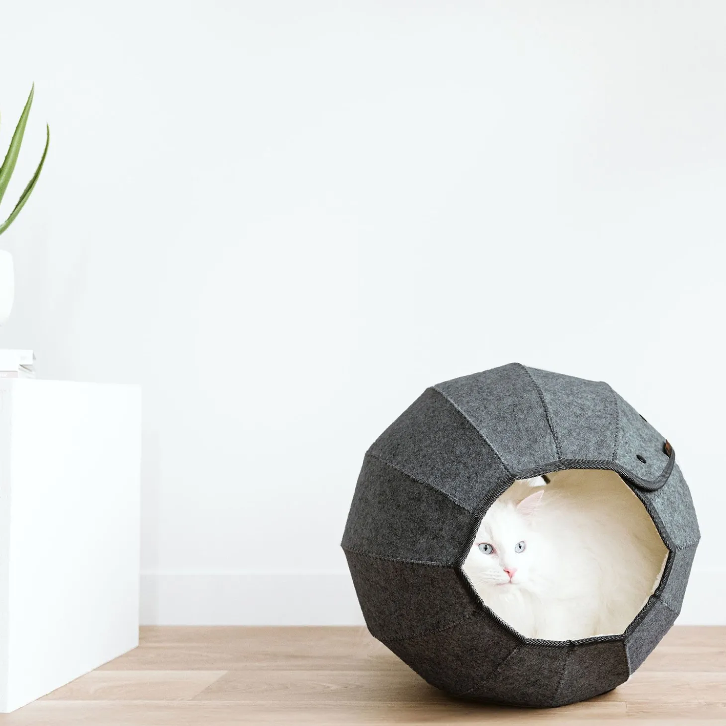 Cat Felt Sphere