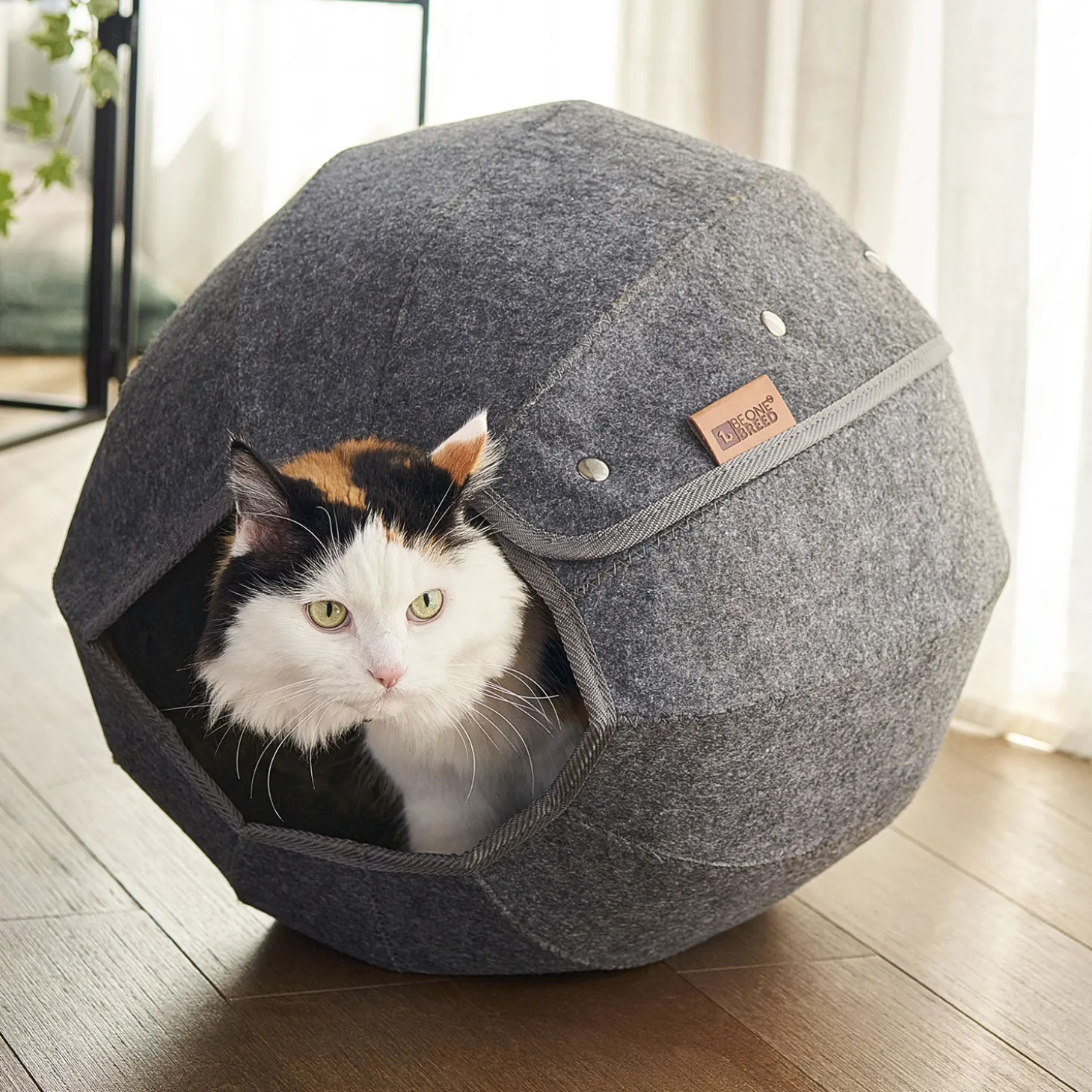 Cat Felt Sphere