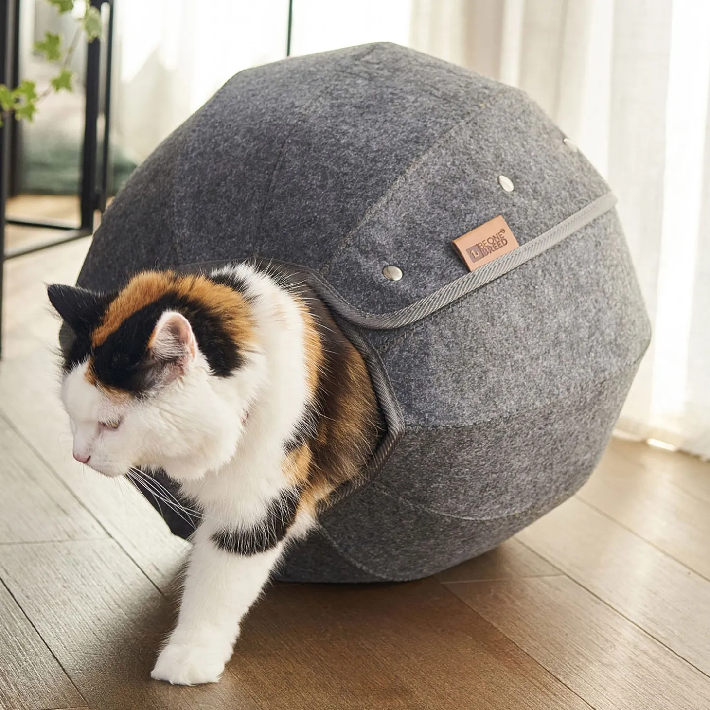 Cat Felt Sphere