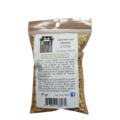 Cat grass seeds