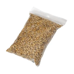 Cat grass seeds