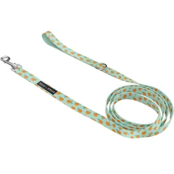 Cat Leash