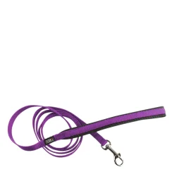 Cat leash, purple