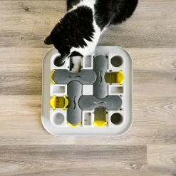 Cat Maze