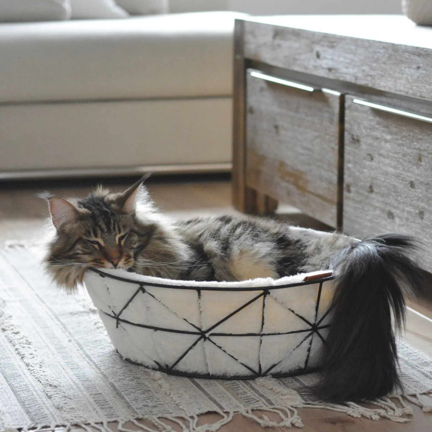 Cat Metal Basket