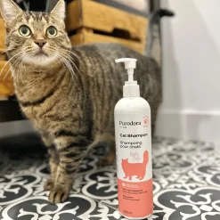 Cat Shampoo, 500 ml