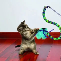 Cat teaser with spirals