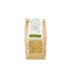Catnip Grass Seeds of Superior Quality, 500 g