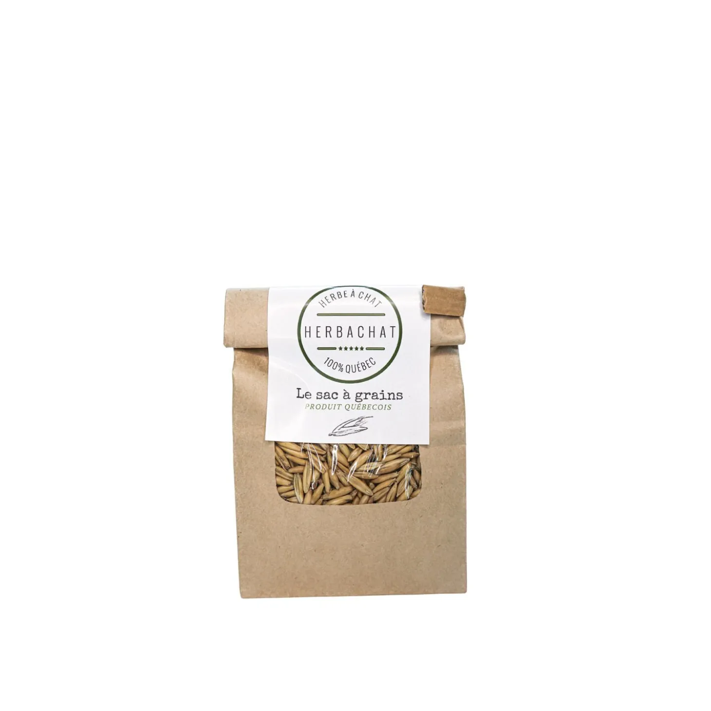 Catnip Grass Seeds of Superior Quality, 150 g