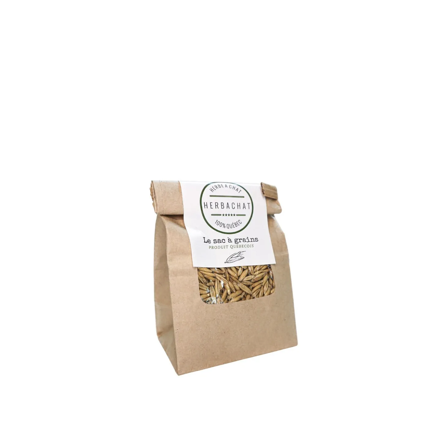 Catnip Grass Seeds of Superior Quality, 150 g