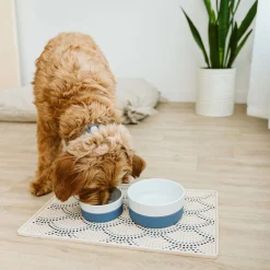 Ceramic and Silicone Bowl, Blue