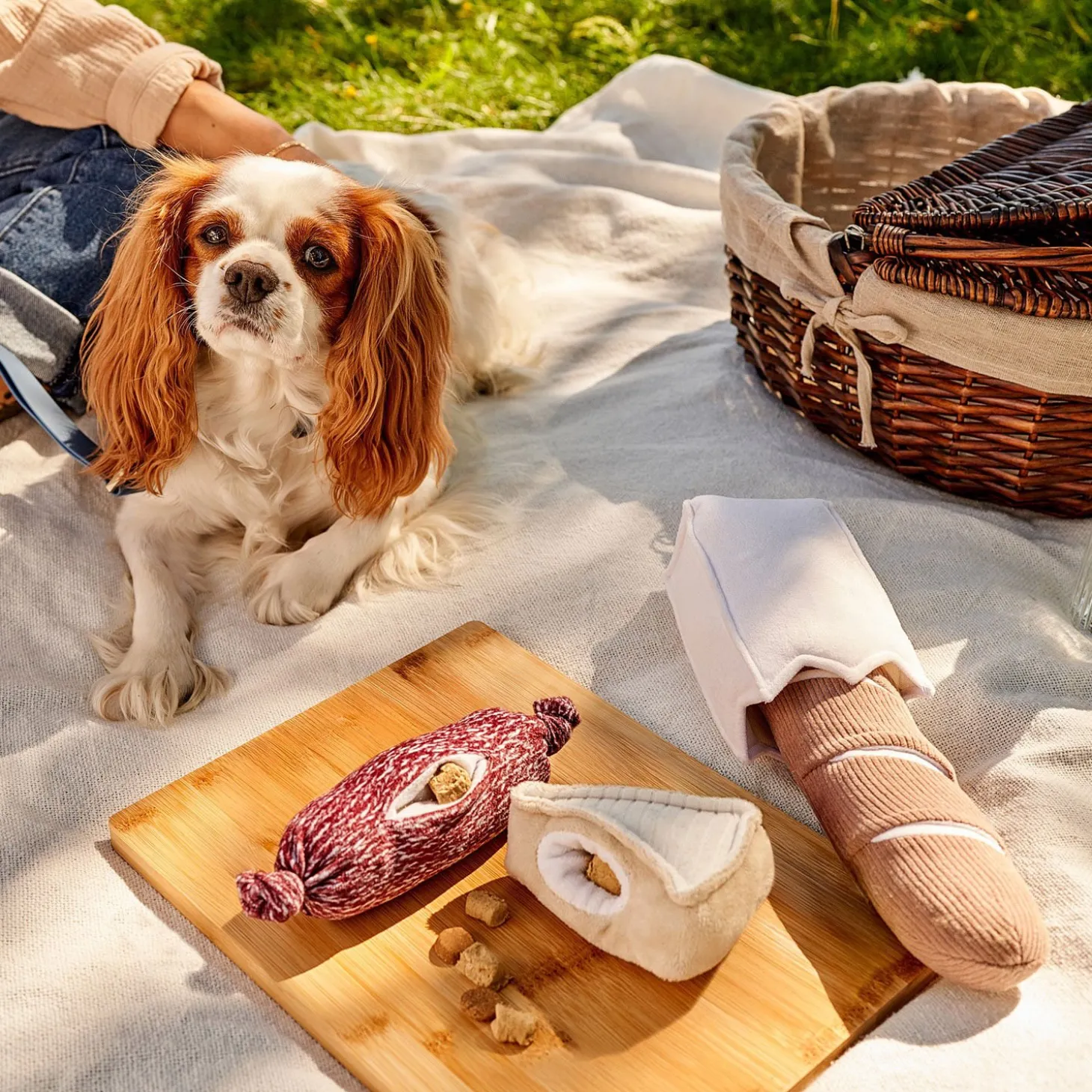 Charcuterie Trio Toys for Dogs