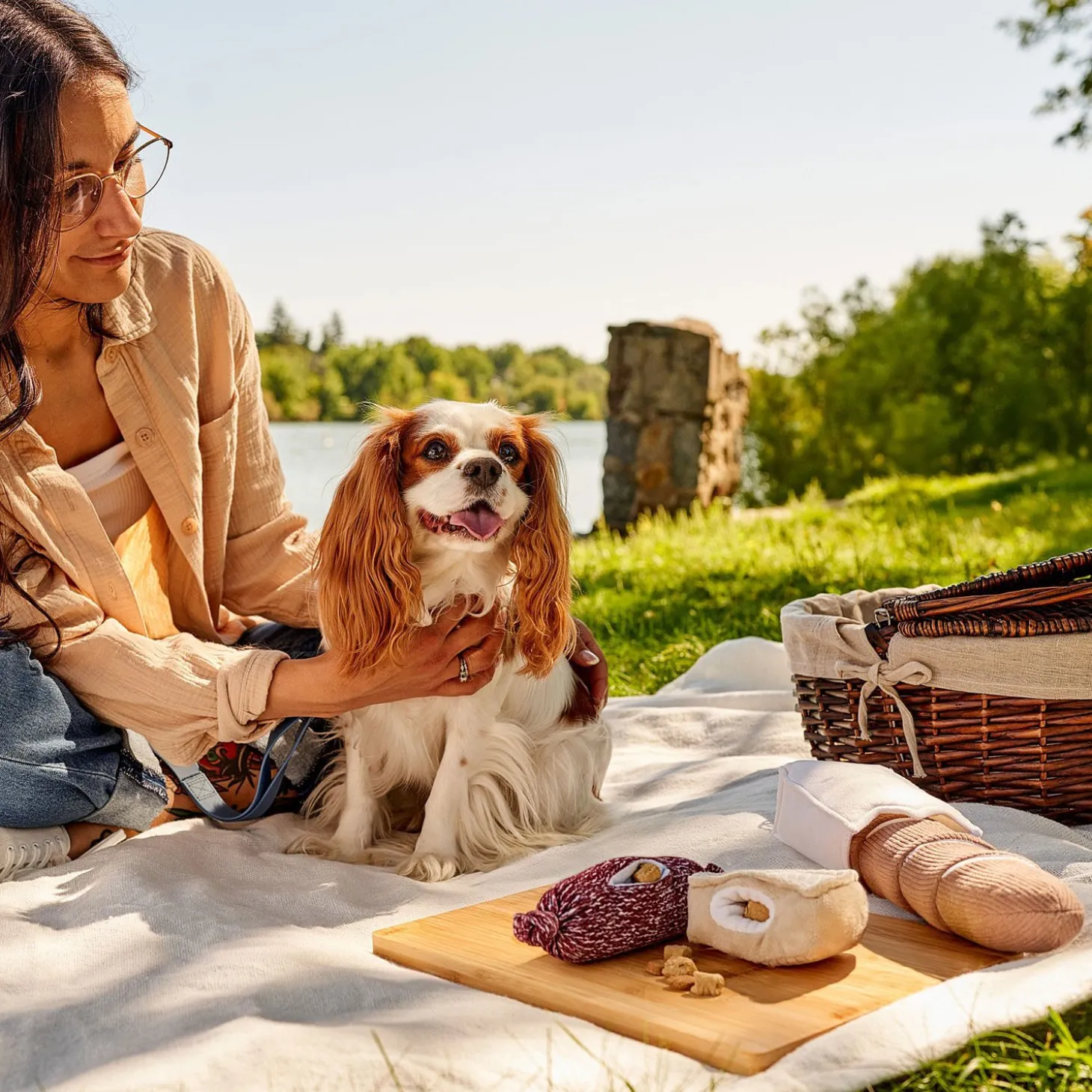 Charcuterie Trio Toys for Dogs