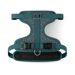Cherry Smash Dog Harness