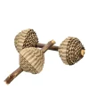 Chew toy for rodents, apple rounds