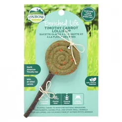 Chew toy for rodents, carrot lollipop