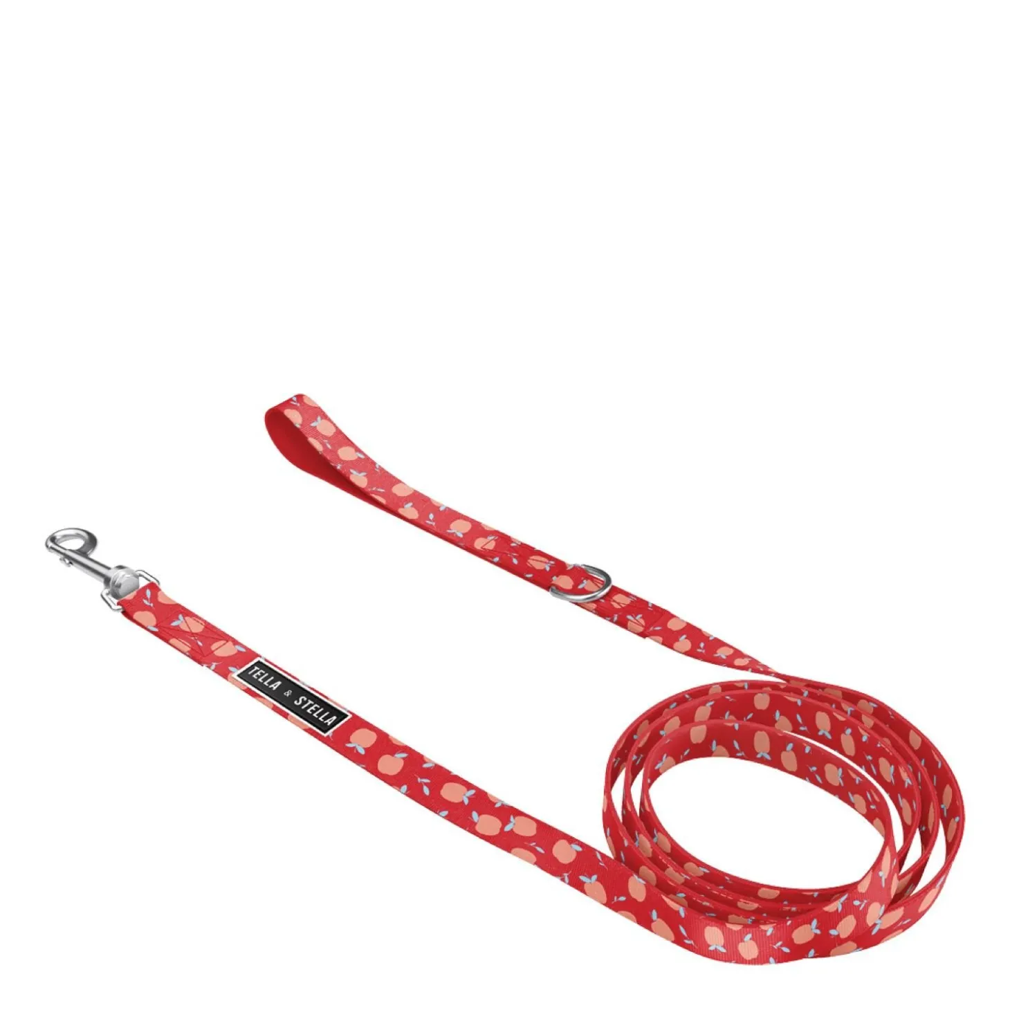 Chewy Dog Leash, L