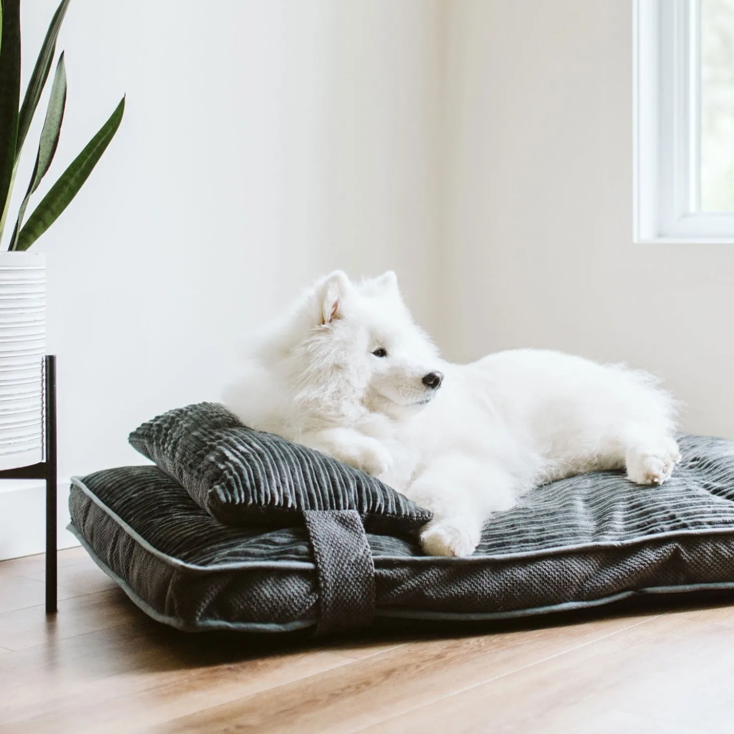 Chic Grey Dual Comfort Bed Cover