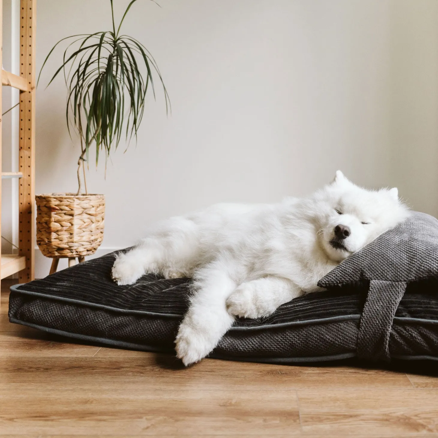 Chic Grey Dual Comfort Bed Cover