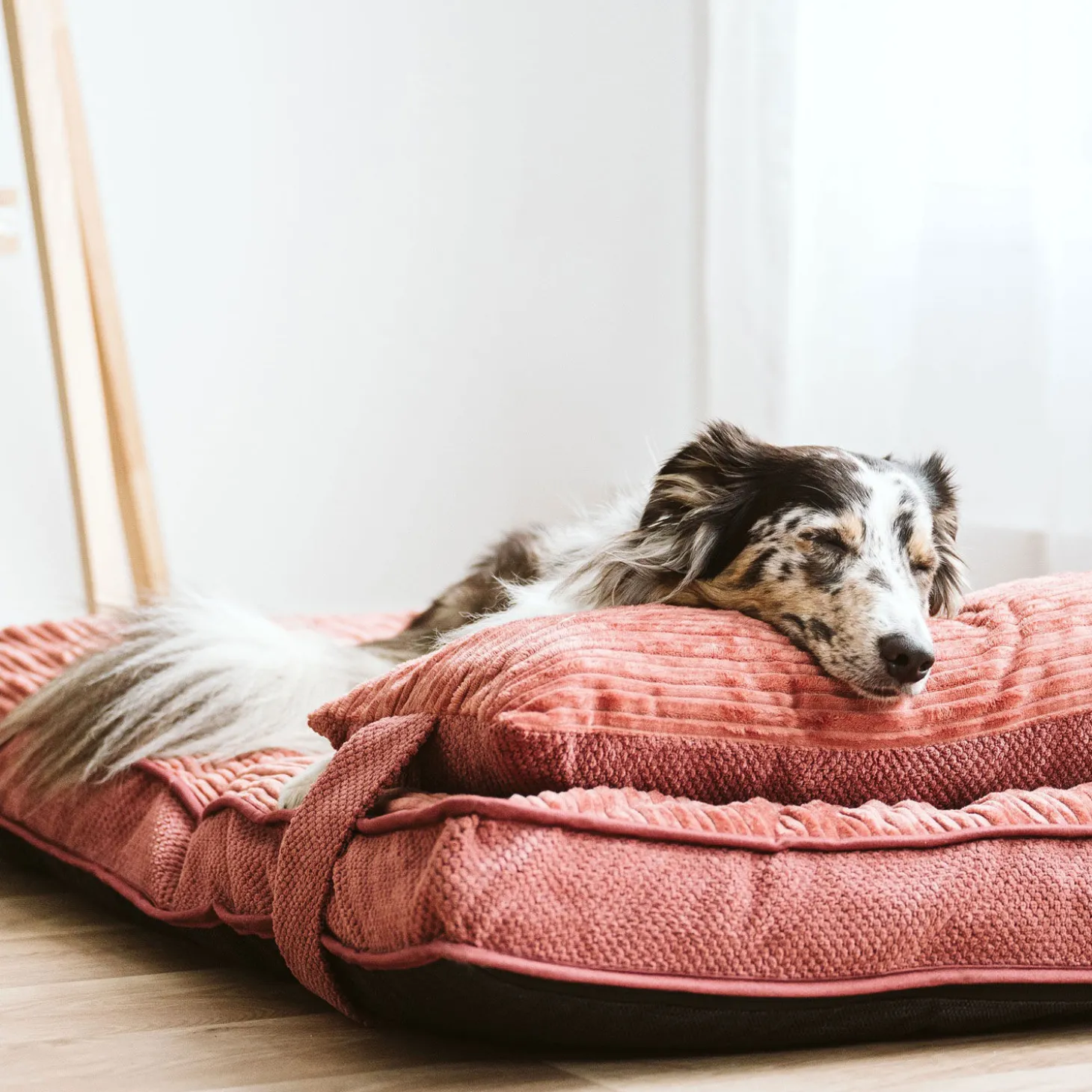 Chic Rose Dual Comfort Bed