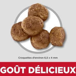 Chicken & Brown Rice Recipe Small Bites Dry Food for Puppies, 2.04 kg