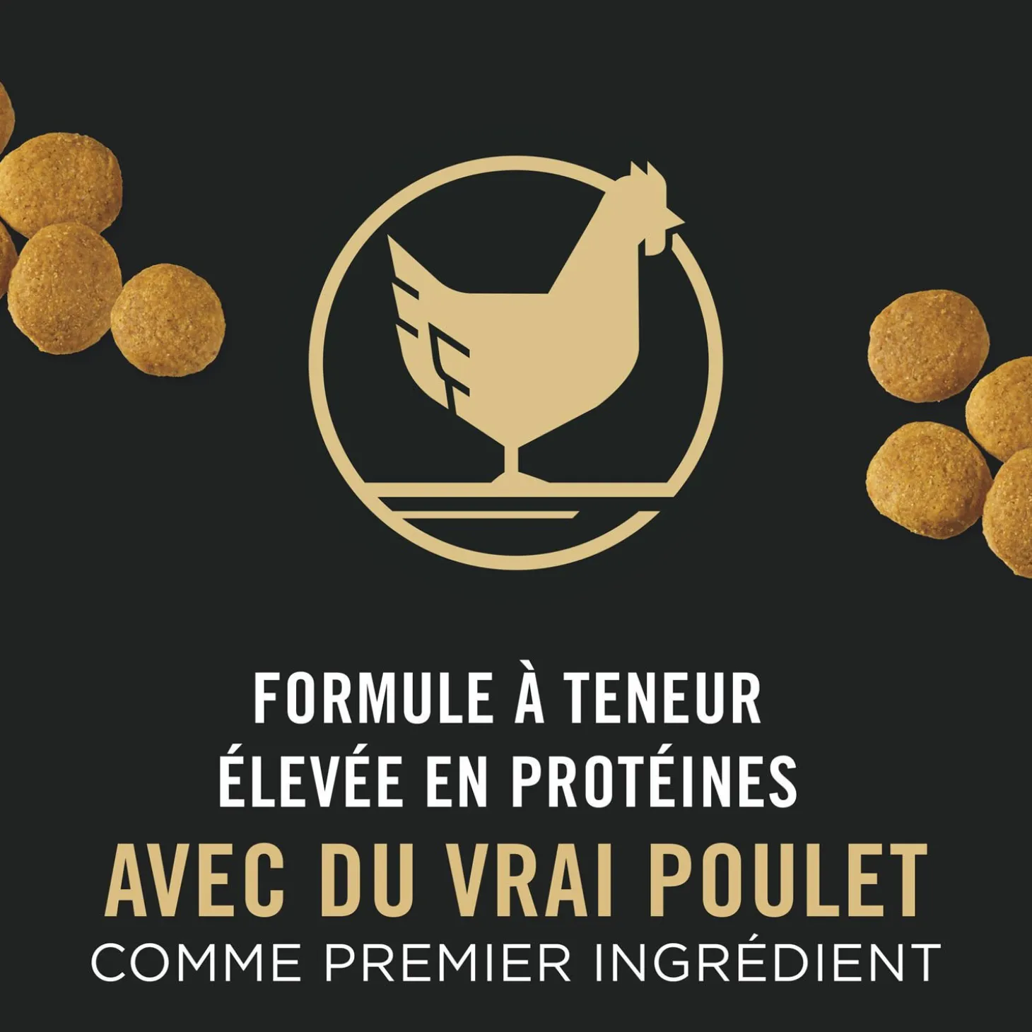 Chicken & Rice Dry Food Formula for Adult Large Breed Dogs, 21.3 kg