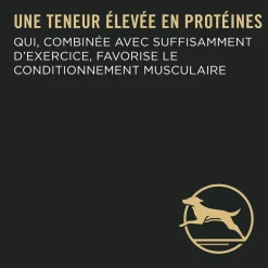 Chicken & Rice Dry Food Formula for Adult Large Breed Dogs, 21.3 kg