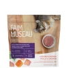 Chicken and salmon raw cat food