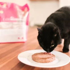 Chicken and salmon raw cat food