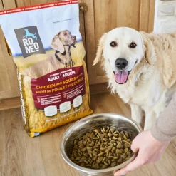 Chicken and Squash Stew Dry Food for Dogs, 18.14 kg