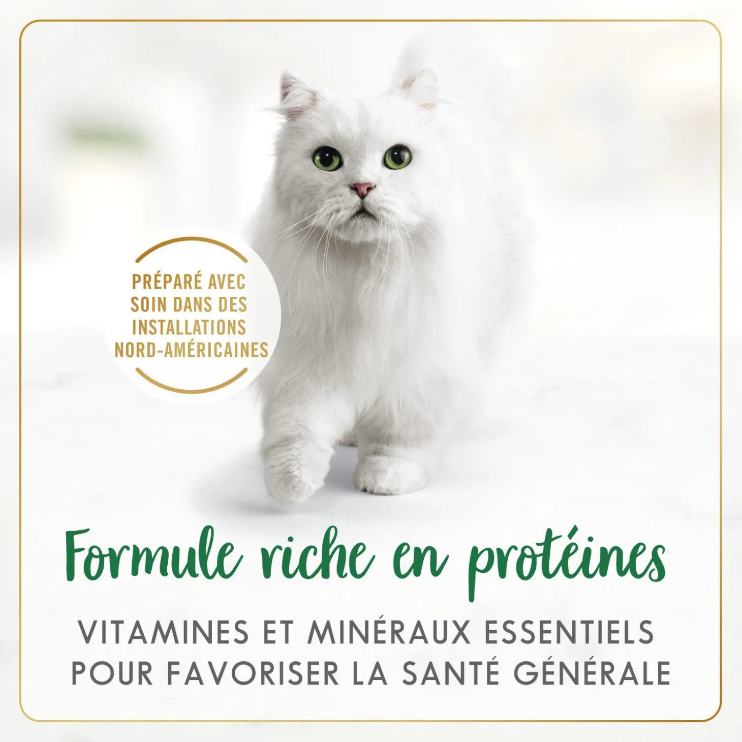 Chicken chunks wet food for adult cats