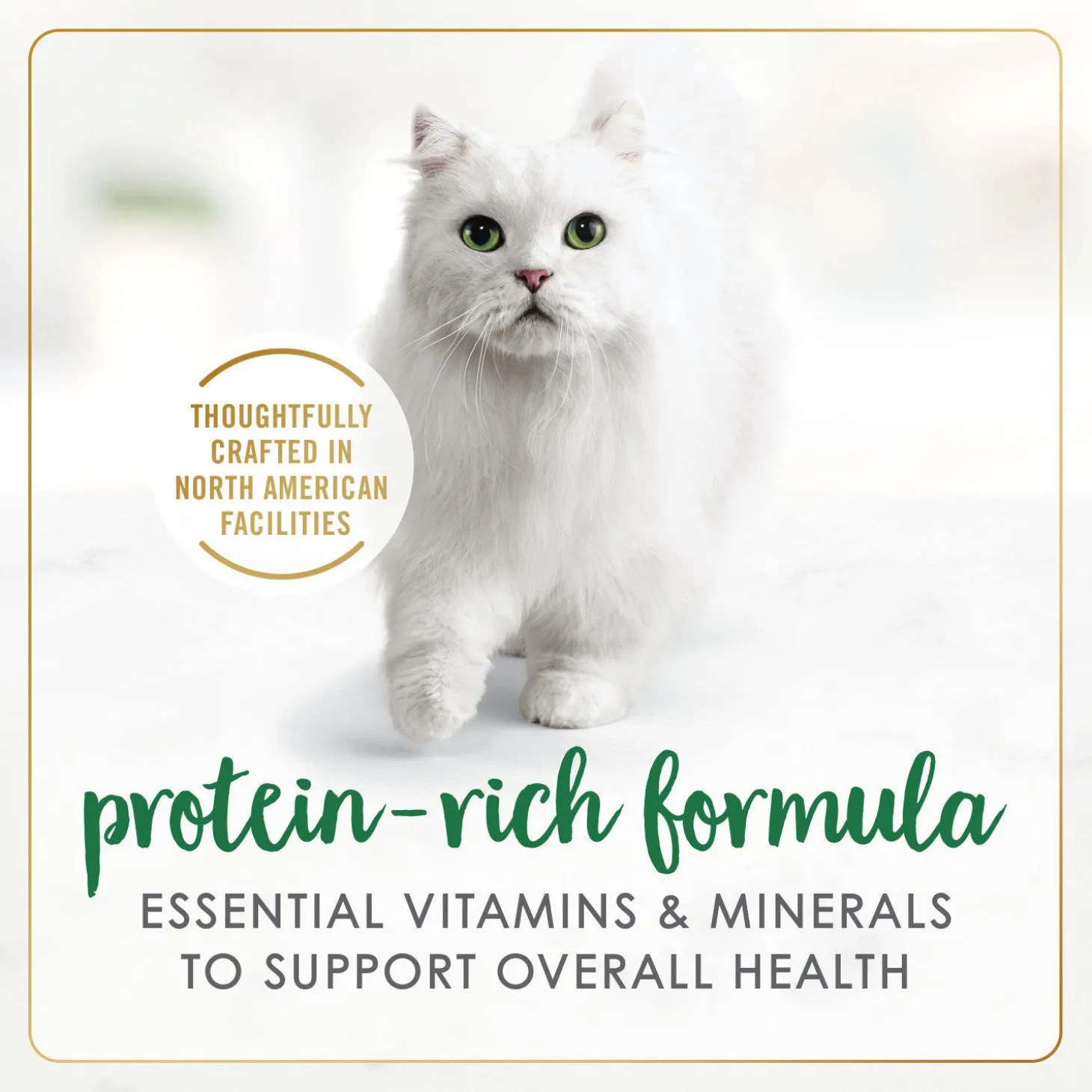 Chicken chunks wet food for adult cats
