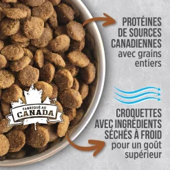 Chicken Dry Food Formula for Senior Cats, 2.27 kg