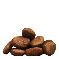 Chicken food for adult dogs