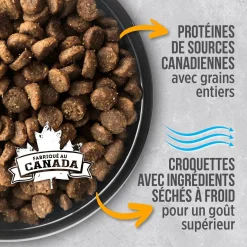 Chicken food for adult dogs