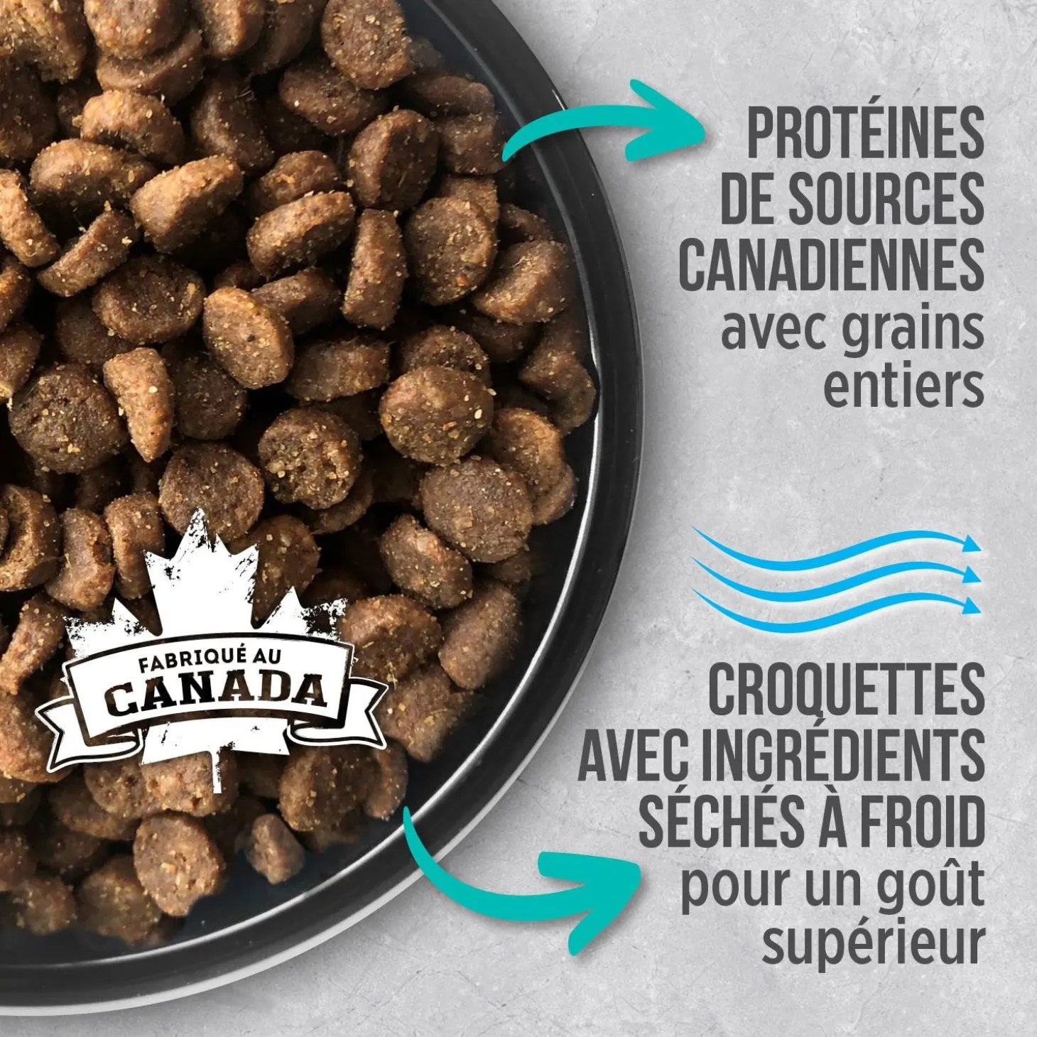 Chicken food for indoor cats