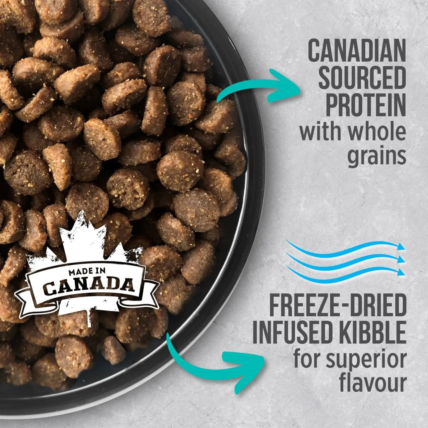 Chicken food for indoor cats