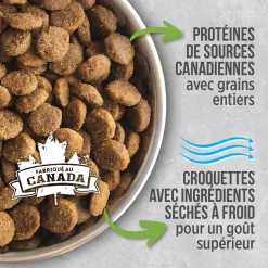 Chicken food for puppy