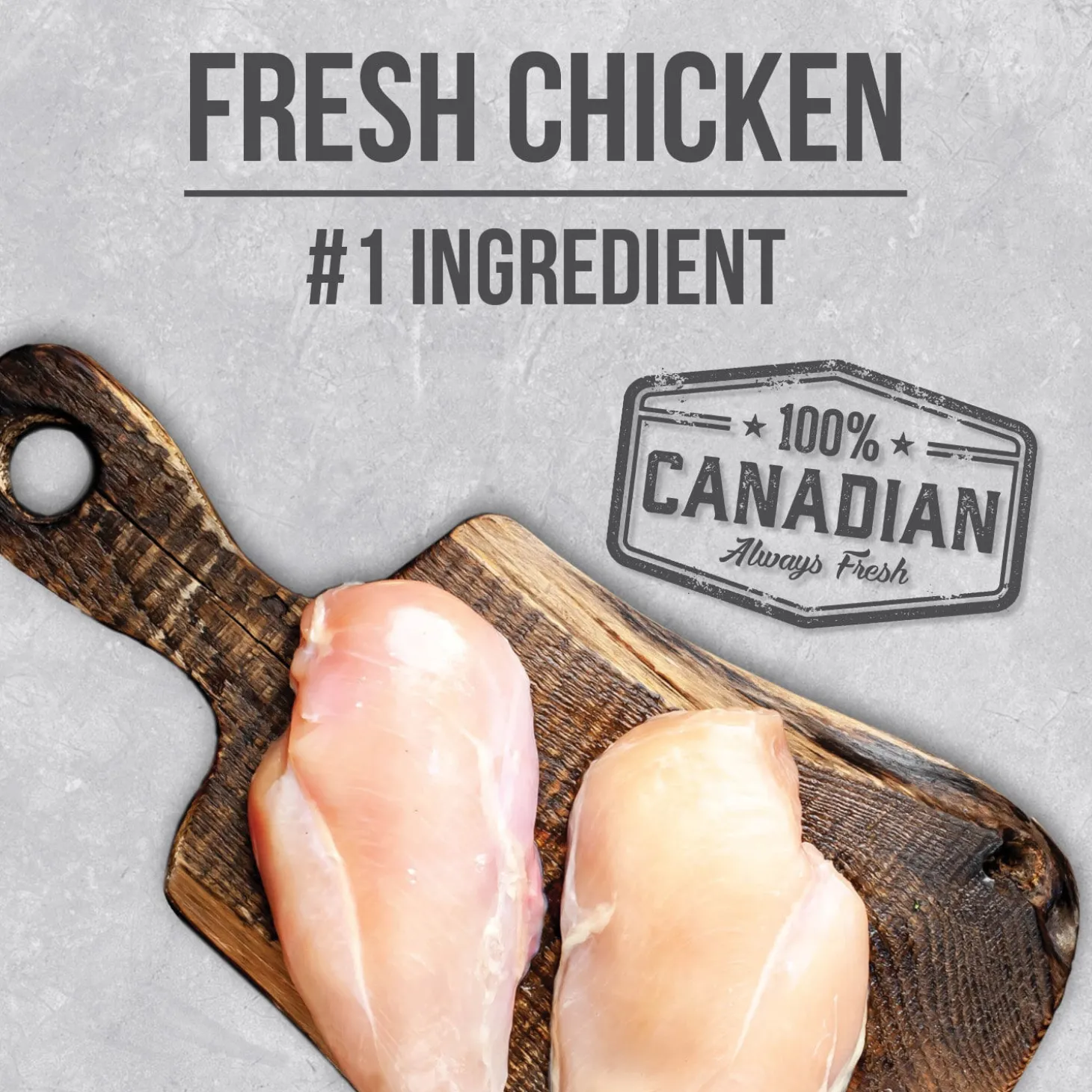 Chicken food for senior dogs