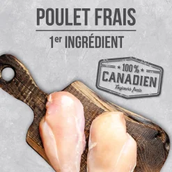 Chicken food for small breed adult dogs
