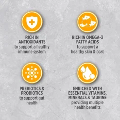 Chicken food for small breed adult dogs